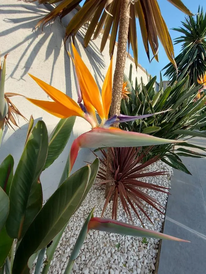 Villa Arbol Del Tule Chiclana de la Frontera Holiday home